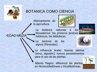 BOTANICA COMO CIENCIA EDAD MEDIA Afianzamiento de la agricultura. La doctrina de los signos (Paracelso). La influencia árabe: Nuevas plantas (arroz, algodón); nuevos procedimientos para el uso de las plantas. Alberto Magno: diferenció las plantas en Monocotiledóneas y Dicotiledóneas. La botánica reducida a los Monasterios: los primeros jardines botánicos; las bibliotecas. 