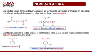 Las amidas actúan como sustituyentes cuando en la molécula hay grupos prioritarios, en este caso,
preceden el nombre de la cadena principal y se nombran como carbamoíl-.......
NOMENCLATURA
Cuando el grupo amida va unido a un ciclo, se nombra el ciclo como cadena principal y se emplea la terminación -
carboxamida para nombrar la amida.
Bencenocarboxamida
Ácido 5- carbamoilpentanoico Ácido 5- Bromo-4-carbamoilheptanoico
4- Bromo-3-metil ciclohexanocarboxamida
 