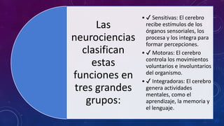 Las
neurociencias
clasifican
estas
funciones en
tres grandes
grupos:
• ✔ Sensitivas: El cerebro
recibe estímulos de los
órganos sensoriales, los
procesa y los integra para
formar percepciones.
• ✔ Motoras: El cerebro
controla los movimientos
voluntarios e involuntarios
del organismo.
• ✔ Integradoras: El cerebro
genera actividades
mentales, como el
aprendizaje, la memoria y
el lenguaje.
 