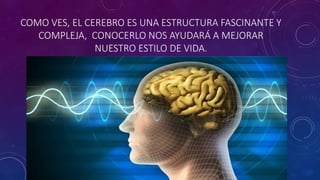 COMO VES, EL CEREBRO ES UNA ESTRUCTURA FASCINANTE Y
COMPLEJA, CONOCERLO NOS AYUDARÁ A MEJORAR
NUESTRO ESTILO DE VIDA.
 