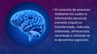 • Al conjunto de procesos
mediante los cuales la
información sensorial
entrante (input) es
transformada, reducida,
elaborada, almacenada,
recordada o utilizada se
le denomina cognición.
 