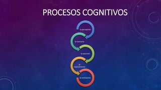 PROCESOS COGNITIVOS
la percepción
la memoria
la atención
el
razonamiento
la motivación.
 