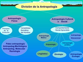 la naturaleza de la antropologia | PPT