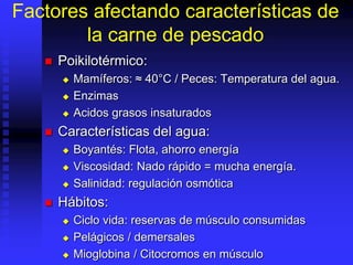 Factores afectando características de
la carne de pescado
 Poikilotérmico:
 Mamíferos: ≈ 40°C / Peces: Temperatura del agua.
 Enzimas
 Acidos grasos insaturados
 Características del agua:
 Boyantés: Flota, ahorro energía
 Viscosidad: Nado rápido = mucha energía.
 Salinidad: regulación osmótica
 Hábitos:
 Ciclo vida: reservas de músculo consumidas
 Pelágicos / demersales
 Mioglobina / Citocromos en músculo
 
