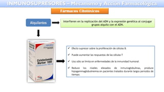 Alquilantes Interfieren en la replicación del ADN y la expresión genética al conjugar
grupos alquilo con el ADN.
✓ Efecto supresor sobre la proliferación de células B.
✓ Puede aumentar las respuestas de las células T
✓ Uso sólo se limita en enfermedades de la inmunidad humoral.
✓ Reduce los niveles elevados de inmunoglobulinas, produce
hipogammaglobulinemia en pacientes tratados durante largos periodos de
tiempo.
INMUNOSUPRESORES – Mecanismo y Acción Farmacológica
Fármacos Citotóxicos
 
