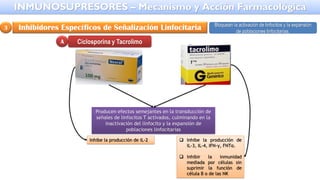 Bloquean la activación de linfocitos y la expansión
de poblaciones linfocitarias.
Inhibidores Específicos de Señalización Linfocitaria
3
Producen efectos semejantes en la transducción de
señales de linfocitos T activados, culminando en la
inactivación del linfocito y la expansión de
poblaciones linfocitarias
Inhibe la producción de IL-2 ❑ Inhibe la producción de
IL-3, IL-4, IFN-γ, FNTα.
❑ Inhibir la inmunidad
mediada por células sin
suprimir la función de
célula B o de las NK
Ciclosporina y Tacrolimo
A
INMUNOSUPRESORES – Mecanismo y Acción Farmacológica
 