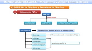 Inhibición de Citocinas y Receptores de Citocinas
4
Inhibidores del FNT - α
A
FNT – α
MACROFAGOS MASTOCITOS LINFOCITOS T ACTIVADOS
Producido por
Tratamientos Interfieren con la actividad del factor de necrosis tumoral
Etanercept
Infliximab
Adalimumab
Certolizumab pegol
Golimumab
Menos selectivo (puede unirse también a FNT-β)
Son selectivos para FNT-α
INMUNOSUPRESORES – Mecanismo y Acción Farmacológica
 
