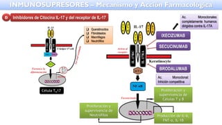 Favorece la
diferenciación
Célula TH17
secreta
❑ Queratinocitos
❑ Fibroblastos
❑ Macrófagos
❑ Neutrófilos
Activa al
receptor
Favoreciendo
Producción de IL-6,
FNT-α, IL-1β
Proliferación y
supervivencia de
Neutrófilos
Proliferación y
supervivencia de
Células T y B
SECUCINUMAB
IXECIZUMAB
BRODALUMAB
Ac. Monoclonales
completamente humanos
dirigidos contra IL-17A
Ac. Monoclonal:
Inhición competitiva
Inhibidores de Citocina IL-17 y del receptor de IL-17
D
INMUNOSUPRESORES – Mecanismo y Acción Farmacológica
 