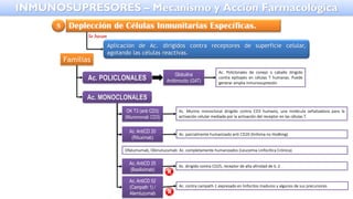 Deplección de Células Inmunitarias Específicas.
5
Aplicación de Ac. dirigidos contra receptores de superficie celular,
agotando las células reactivas.
Se basan
Familias
Ac. POLICLONALES
Globulina
Antitimocito (GAT)
Ac. Policlonales de conejo o caballo dirigido
contra epítopes en células T humanas. Puede
generar amplia inmunosupresión
Ac. MONOCLONALES
OK T3 (anti CD3)
(Muromonab CD3)
Ac. Murino monoclonal dirigido contra CD3 humano, una molécula señalizadora para la
activación celular mediada por la activación del receptor en las células T.
Ac. AntiCD 20
(Rituximab)
Ac. parcialmente humanizado anti CD20 (linfoma no Hodking)
Ac. AntiCD 25
(Basiliximab)
Ac. dirigido contra CD25, receptor de alta afinidad de IL-2
Ac. AntiCD 52
(Campath 1) /
Alemtuzumab
Ac. contra campath-1 expresado en linfocitos maduros y algunos de sus precursores
Ofatumumab, Obinutuzumab: Ac. completamente humanizados (Leucemia Linfocítica Crónica).
INMUNOSUPRESORES – Mecanismo y Acción Farmacológica
 