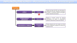 Familias
LFA-3 Alefacept
Proteína de fusión LFA-3/Fc que interrumpe la
señalización CD2-LFA3: inhibiendo la activación
de células T y activando citolíticos para agotar
células T efectoras de memoria.
ESTIMULADOR DE
LINFOCITOS B
Belimumab
Bloquea la función normal de citocina
estimuladora de célula B, provoncando
apoptosis reduciendo el número de células B.
CONJUGADOS Ac. FARMACO
Brentuximab
Vedotin
Provoca detención del ciclo celular en la fase
G2 a M, conllevando a apoptosis de células que
expresan CD-30
INMUNOSUPRESORES – Mecanismo y Acción Farmacológica
 