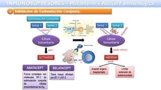 Inhibición de Estimulación Conjunta.
6
Estimulación Conjunta
Señal 1 Señal 2
Célula
Inmunitaria
ACTIVARSE
Señal 1 Señal 2
Célula
Inmunitaria
ANERGIA
requiere
para puede volverse
Aceptar órgano
trasplantado
Limitar
extensión de
autoinmunidad
puede
ABATACEPT
Forma complejos con
moléculas B7-1 de
estimulación conjunta
de células
presentadoras de Ag.
BELATACEPT
Tiene mayor afinidad
por B7-1 y B7-2
INMUNOSUPRESORES – Mecanismo y Acción Farmacológica
 