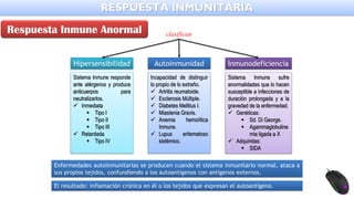 Hipersensibilidad
Sistema Inmune responde
ante alérgenos y produce
anticuerpos para
neutralizarlos.
✓ Inmediata
▪ Tipo I
▪ Tipo II
▪ Tipo III
✓ Retardada
▪ Tipo IV
Autoinmunidad
Incapacidad de distinguir
lo propio de lo extraño.
✓ Artritis reumatoide.
✓ Esclerosis Múltiple.
✓ Diabetes Mellitus I.
✓ Miastenia Gravis.
✓ Anemia hemolítica
Inmune.
✓ Lupus eritematoso
sistémico.
Inmunodeficiencia
Sistema Inmune sufre
anormalidades que lo hacen
susceptible a infecciones de
duración prolongada y a la
gravedad de la enfermedad.
✓ Genéticas:
▪ Sd. Di George.
▪ Agammaglobuline
mia ligada a X
✓ Adquiridas:
▪ SIDA
clasifican
Enfermedades autoinmunitarias se producen cuando el sistema inmunitario normal, ataca a
sus propios tejidos, confundiendo a los autoantígenos con antígenos externos.
El resultado: inflamación crónica en él o los tejidos que expresan el autoantígeno.
RESPUESTA INMUNITARIA
Respuesta Inmune Anormal
 