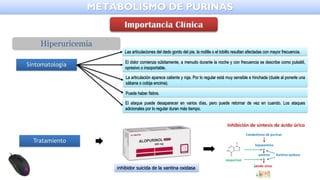 METABOLISMO DE PURINAS
Sintomatología
Las articulaciones del dedo gordo del pie, la rodilla o el tobillo resultan afectadas con mayor frecuencia.
El dolor comienza súbitamente, a menudo durante la noche y con frecuencia se describe como pulsátil,
opresivo o insoportable.
La articulación aparece caliente y roja. Por lo regular está muy sensible e hinchada (duele al ponerle una
sábana o cobija encima).
Puede haber fiebre.
El ataque puede desaparecer en varios días, pero puede retornar de vez en cuando. Los ataques
adicionales por lo regular duran más tiempo.
Hiperuricemia
Tratamiento
inhibidor suicida de la xantina oxidasa
 