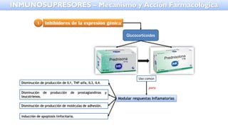 Inhibidores de la expresión génica
Glucocorticoides
Uso común
para
1
Modular respuestas Inflamatorias
Disminución de producción de IL1, TNF-alfa, IL3, IL4.
Disminución de producción de prostaglandinas y
leucotrienos.
Disminución de producción de moléculas de adhesión.
Inducción de apoptosis linfocitaria.
INMUNOSUPRESORES – Mecanismo y Acción Farmacológica
 