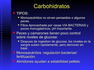 Carbohidratos
   TIPOS:
       Monosacáridos no sirven penaeidos o algunos
        peces.
       Fibra Aprovechada por vacas VIA BACTERIAS y
        pocos monogástricos. pH importante.
   Peces y camarones tienen poco control
    sobre niveles de glucosa:
       Despues de ingestion de glucosa, los niveles en la
        sangre suben rapidamente, pero demoran en
        bajar.
   Monosacáridos :regulación bacterias/
    fertilización.
   Almidones ayudan a estabilidad pellets.
 