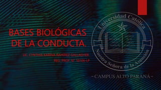 BASES BIOLÓGICAS
DE LA CONDUCTA.
LIC. CYNTHIA KARINA RAMÍREZ GALLAGHER.
REG. PROF. N° 10106-LP
 
