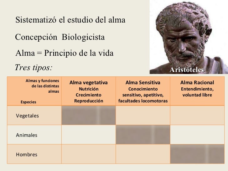 Antecedentes históricos de la Psicología