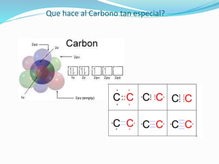 Que hace al Carbono tan especial?
 