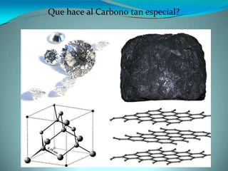 Que hace al Carbono tan especial?
 