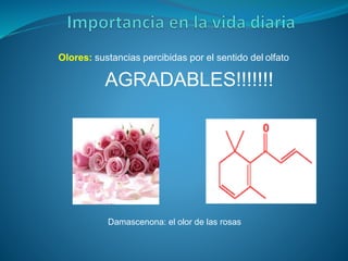 Damascenona: el olor de las rosas
Olores: sustancias percibidas por el sentido del olfato
AGRADABLES!!!!!!!
 