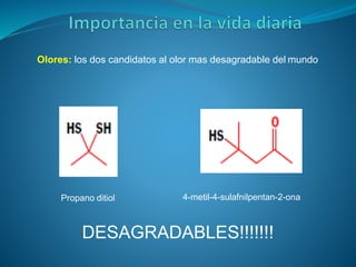 Olores: los dos candidatos al olor mas desagradable del mundo
Propano ditiol 4-metil-4-sulafnilpentan-2-ona
DESAGRADABLES!!!!!!!
 