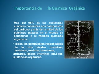 Más del 95% de las sustancias
químicas conocidas son compuestos
del carbono y más de la mitad de los
químicos actuales en el mundo se
denominan a sí mismos químicos
orgánicos.
• Todos los compuestos responsables
de la vida (ácidos nucleicos,
proteínas, enzimas, hormonas,
azúcares, lípidos, vitaminas, etc.) son
sustancias orgánicas.
 