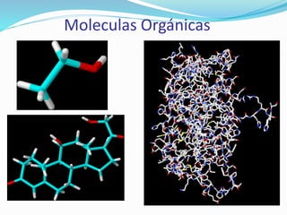Moleculas Orgánicas
 