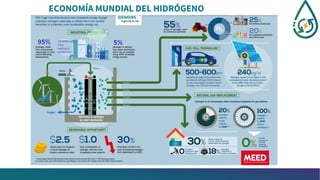 ECONOMÍA MUNDIAL DEL HIDRÓGENO
 