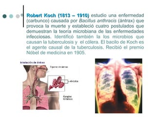  Robert Koch (1813 – 1910)Robert Koch (1813 – 1910) estudio una enfermedad
(carbunco) causada por Bacillus anthracis (ántrax) que
provoca la muerte y estableció cuatro postulados que
demuestran la teoría microbiana de las enfermedades
infecciosas. Identificó también la los microbios que
causan la tuberculosis y el cólera. El bacilo de Koch es
el agente causal de la tuberculosis. Recibió el premio
Nóbel de medicina en 1905.
 