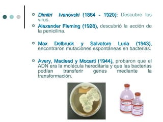  Dimitri IvanovskiDimitri Ivanovski (1864 - 1920):(1864 - 1920): Descubre los
virus.
 Alexander Fleming (1928),Alexander Fleming (1928), descubrió la acción de
la penicilina.
 Max Delbruck y Salvatore Luria (1943),Max Delbruck y Salvatore Luria (1943),
encontraron mutaciones espontáneas en bacterias.
 Avery, Macleed y Mocarti (1944),Avery, Macleed y Mocarti (1944), probaron que el
ADN era la molécula hereditaria y que las bacterias
podían transferir genes mediante la
transformación.
 