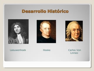 HookeLeeuwenhoek Carlos Von
Linneo
 