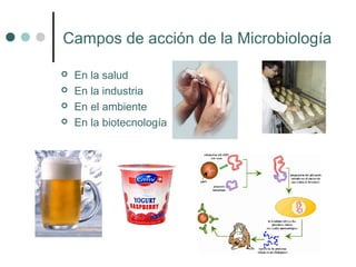 Campos de acción de la Microbiología
 En la salud
 En la industria
 En el ambiente
 En la biotecnología
 