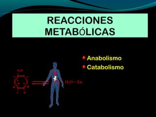 Anabolismo
Catabolismo
CO2 + H2O + En.
 