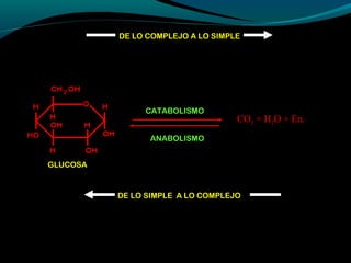GLUCOSA
DE LO COMPLEJO A LO SIMPLE
DE LO SIMPLE A LO COMPLEJO
CATABOLISMO
CO2 + H2O + En.
ANABOLISMO
 