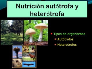 Tipos de organismos
Autótrofos
Heterótrofos
 