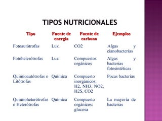 TipoTipo Fuente deFuente de
energíaenergía
Fuente deFuente de
carbonocarbono
EjemplosEjemplos
Fotoautótrofas Luz CO2 Algas y
cianobacterias
Fotoheterótrofas Luz Compuestos
orgánicos
Algas y
bacterias
fotosintéticas
Quimioautótrofas o
Litótrofas
Química Compuesto
inorgánicos:
H2, NH3, NO2,
H2S, CO2
Pocas bacterias
Quimioheterótrofas
o Heterótrofas
Química Compuesto
orgánicos:
glucosa
La mayoría de
bacterias
 