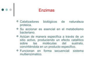 Enzimas
 Catalizadores biológicos de naturaleza
proteica.
 Su accionar es esencial en el metabolismo
bacteriano.
 Actúan de manera especifica a través de un
sitio activo, produciendo un efecto catalítico
sobre las moléculas del sustrato,
convirtiéndola en un producto especifico.
 Funcionan en forma secuencial: sistema
multienzimatico.
 