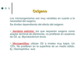 OxígenoOxígeno
Los microorganismos son muy variables en cuanto a la
necesidad del oxigeno.
Se dividen dependiendo del efecto del oxigeno:
 Aerobios estrictos: los que requieren oxigeno como
aceptor terminal de electrones, no proliferan en ausencia
de O2. ej. Mycobacterium bovis.
 Microaerófilos: utilizan O2 a niveles muy bajos. Un
12%. No proliferen en la superficie de un medio sólido.
Ej. Haemophillus suis
 