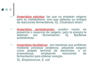  Anaerobios estrictos: las que no emplean oxigeno
para su metabolismo, sino que obtienen su energía
de reacciones fermentativas. Ej. Clostridium tetani
 Anaerobios aerotolerantes: pueden crecer en
presencia o ausencia de oxigeno, pero la energía la
obtienen por fermentación. Ej. Bacterias
acidolácticas.
 Anaerobios facultativos: son bacterias que proliferan
mediante procesos oxidativos, utilizando oxigeno
como aceptor terminal de electrones, o en
anaerobiosis, empleando reacciones de
fermentación para obtener energía.
Ej. Streptococcus, E. coli
 