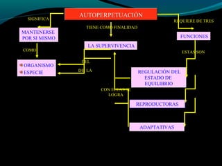 AUTOPERPETUACIÓNAUTOPERPETUACIÓN
MANTENERSE
POR SI MISMO
SIGNIFICA
COMO
ORGANISMO
ESPECIE
TIENE COMO FINALIDAD
LA SUPERVIVENCIA
DEL
DE LA
FUNCIONES
REQUIERE DE TRES
ESTAS SON
REGULACIÓN DEL
ESTADO DE
EQUILIBRIO
REPRODUCTORAS
ADAPTATIVAS
CON ELLAS SE
LOGRA
 