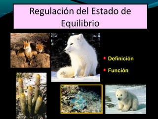 Definición
Función
 