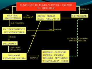 FUNCIONES DE REGULACIÓN DEL ESTADOFUNCIONES DE REGULACIÓN DEL ESTADO
DE EQUILIBRIODE EQUILIBRIO
PROCESOS
HOMEOSTÁTICOS
SON
QUE
SIGNIFICA
HOMOIS = SIMILAR
STASIS = PERMANECER
QUE PERMITEN
UN FUNCIONAMIENTO
AUTOCONSERVADOR
DE LOS
ORGANISMOS
SISTEMA DE
ESTÍMULO-RESPUESTA
LOS CUALES
UTILIZAN UN
PARA
EJEMPLO
HAMBRE = NUTRICIÓN
HERIDA = CICATRIZ
PELIGRO = MOVIMIENTO
TEMPERATURA = SUDOR
METABOLISMO
CONTROLAN
AL
PARA LOGRAR
ESTÁN RELACIONADOS
CON PROCESOS DEL
 