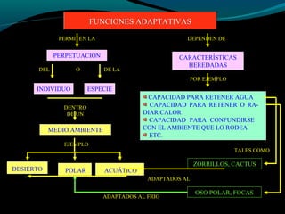 FUNCIONES ADAPTATIVASFUNCIONES ADAPTATIVAS
PERMITEN LA
PERPETUACIÓN
INDIVIDUO
DEL DE LA
ESPECIE
DENTRO
DE UN
CARACTERÍSTICAS
HEREDADAS
MEDIO AMBIENTE
O
DEPENDEN DE
POR EJEMPLO
CAPACIDAD PARA RETENER AGUA
CAPACIDAD PARA RETENER O RA-
DIAR CALOR
CAPACIDAD PARA CONFUNDIRSE
CON EL AMBIENTE QUE LO RODEA
ETC.
ZORRILLOS, CACTUS
OSO POLAR, FOCAS
EJEMPLO
DESIERTO POLAR ACUÁTICO
ADAPTADOS AL
ADAPTADOS AL FRIO
TALES COMO
 