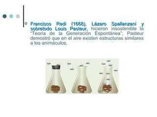  Francisco Redi (1668), Lázaro Spallanzani yFrancisco Redi (1668), Lázaro Spallanzani y
sobretodo Louis Pasteur,sobretodo Louis Pasteur, hicieron insostenible la
“Teoría de la Generación Espontánea”; Pasteur
demostró que en el aire existen estructuras similares
a los animáculos.
 