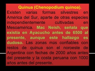 CLASES DE HISTORIA. INICIO HASTA INCAS | PPT