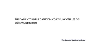 Ps. Gregorio Aguilera Antúnez
FUNDAMENTOS NEUROANATOMICOS Y FUNCIONALES DEL
SISTEMA NERVIOSO
 