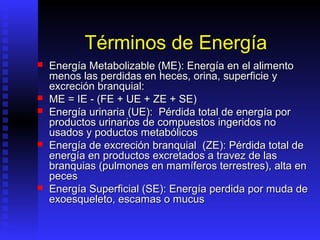 Términos de Energía
   Energía Metabolizable (ME): Energía en el alimento
    menos las perdidas en heces, orina, superficie y
    excreción branquial:
   ME = IE - (FE + UE + ZE + SE)
   Energía urinaria (UE): Pérdida total de energía por
    productos urinarios de compuestos ingeridos no
    usados y poductos metabólicos
   Energía de excreción branquial (ZE): Pérdida total de
    energía en productos excretados a travez de las
    branquias (pulmones en mamíferos terrestres), alta en
    peces
   Energía Superficial (SE): Energía perdida por muda de
    exoesqueleto, escamas o mucus
 
