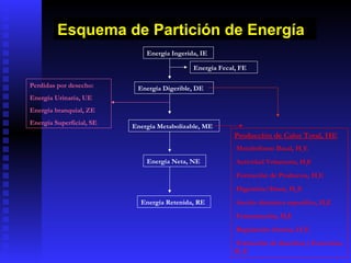 Esquema de Partición de Energía
                              Energía Ingerida, IE

                                             Energía Fecal, FE

Perdidas por desecho:      Energía Digerible, DE
Energía Urinaria, UE
Energía branquial, ZE
Energía Superficial, SE
                          Energía Metabolizable, ME
                                                          Producción de Calor Total, HE
                                                          -Metabolismo Basal, HeE
                              Energía Neta, NE            -Actividad Voluntaria, HjE
                                                          -Formación de Productos, HrE
                                                          -Digestión/Absor, HdE
                            Energía Retenida, RE          -Acción dinámica especifica, HiE
                                                          -Fermentación, HfE
                                                          -Regulación térmica, HcE
                                                          -Formación de desechos y Excreción,
                                                          HwE
 
