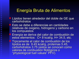 Energía Bruta de Alimentos
   Lípidos tienen alrededor del doble de GE que
    carbohidratos
   Esto se debe a diferencias en cantidades
    relativas de oxigeno, hidrogeno y carbono en
    los compuestos
   Energía se deriva del calor de combustión de
    estos elementos: C= 8 kcal/g, H= 34.5, etc.
   Típicamente el calor de combustión de los
    lípidos es de 9.45 kcal/g, proteínas 5.45,
    carbohidratos 3.75 (estos se conocen como
    valores de combustión filológicos o
    “physiological fuel values” PFV).
 