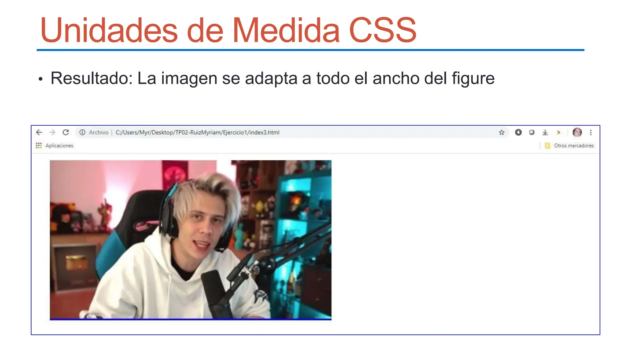 Unidades de Medida CSS
• Resultado: La imagen se adapta a todo el ancho del figure
 